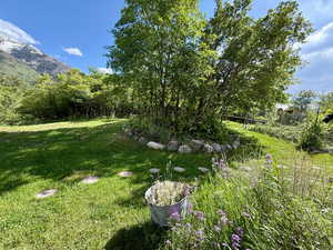 Gorgeous backyard