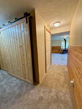 Hallway to basement kitchen or family room