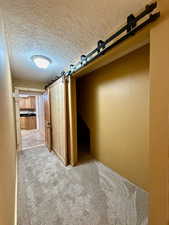 Storage in hallway closet