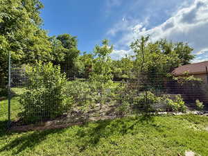 View of grassy yard with a fenced garden