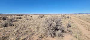 View of nature featuring a rural view