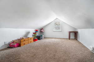 Playroom with lofted ceiling and carpet flooring