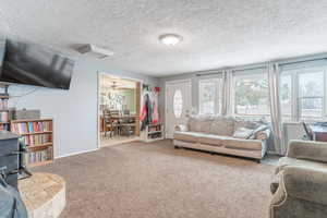 Living room with carpet and a textured ceiling