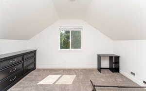 Bonus room with light colored carpet, lofted ceiling, and a textured ceiling