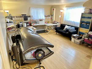 Recreation room featuring light hardwood / wood-style flooring