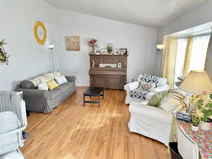 Living room with vaulted ceiling and light wood-type flooring