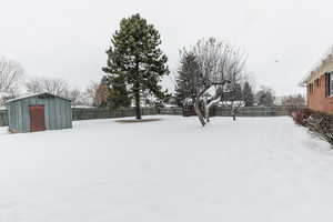 fenced in backyard