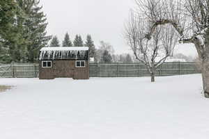 backyard with shed