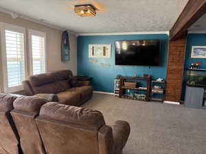 Living room with ornamental molding, a textured ceiling, and carpet