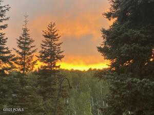 View of nature at dusk