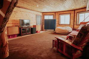 Carpeted living area with wooden walls and wood ceiling