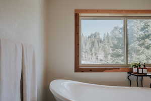 Bathroom with a freestanding tub and a healthy amount of sunlight