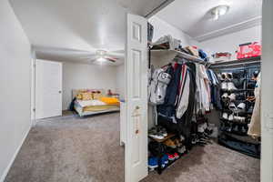 Walk in closet featuring carpet floors