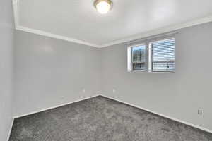 Empty room featuring crown molding and carpet