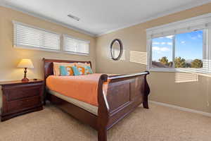 Bedroom featuring light colored carpet and ornamental molding