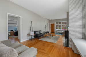 Living room featuring radiator