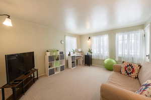 View of carpeted living room