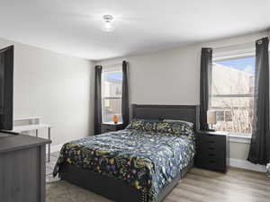 Master bedroom with multiple windows and light wood-type flooring