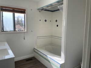 Bathroom featuring vanity, hardwood / wood-style floors, and a bath