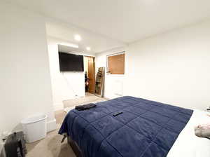 Carpeted bedroom