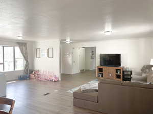 Living room with wood-type flooring and a textured ceiling