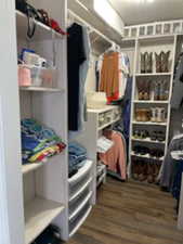 Spacious closet featuring dark hardwood / wood-style flooring