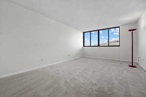 Carpeted spare room with a textured ceiling