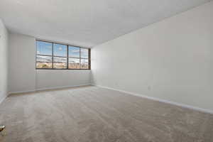 Unfurnished room featuring carpet and a textured ceiling