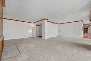 Unfurnished living room featuring crown molding, light carpet, and a textured ceiling