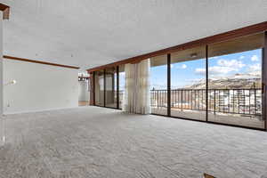 Unfurnished living room featuring crown molding, carpet, a textured ceiling, and a wall of windows