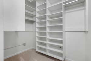 Spacious closet featuring carpet floors