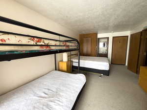 bedroom with  closet, carpet, and a textured ceiling