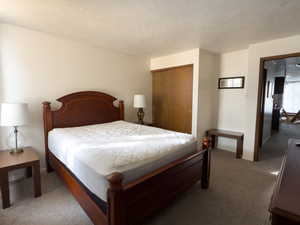 Bedroom featuring carpet, a closet, and a textured ceiling