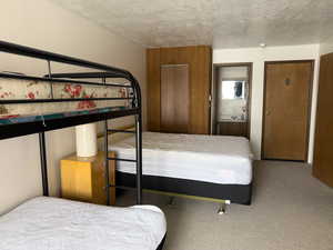 bedroom with carpet and a textured ceiling