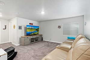 Living room with light carpet and a textured ceiling