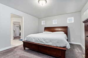 Primary bedroom featuring multiple windows, light colored carpet, and a textured ceiling