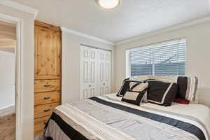 Carpeted bedroom with crown molding and a closet