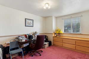 Carpeted office with a textured ceiling