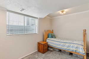 Carpeted bedroom with crown molding and a textured ceiling