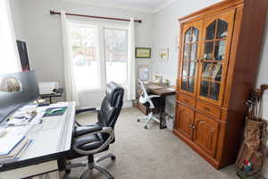 Office with ornamental molding and light carpet