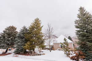 View of snowy yard