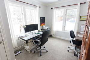 View of carpeted office