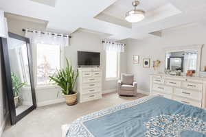 Bedroom featuring ornamental molding, a raised ceiling, and light carpet