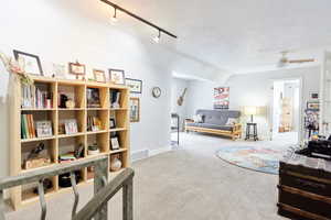 Living area featuring ceiling fan, track lighting, a textured ceiling, and carpet flooring