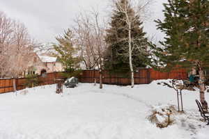 View of snowy yard