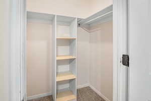 Walk in closet with carpet flooring