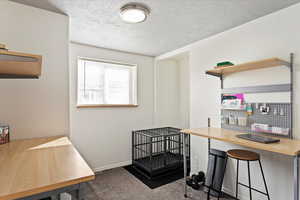 Office space with carpet and a textured ceiling