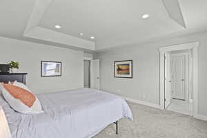 Bedroom with light carpet and a tray ceiling