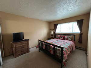 Bedroom with light colored carpet, a textured ceiling, and baseboard heating