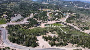 Aerial view with a mountain view